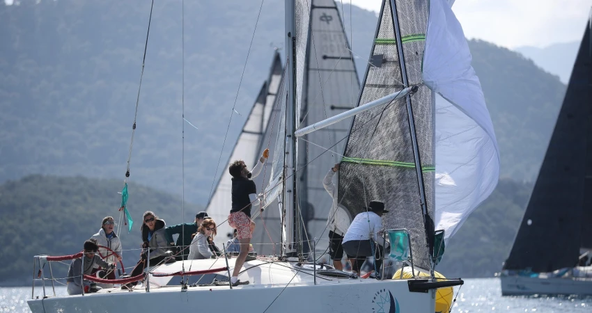 8acb6b72-1791-4a23-800e-edfe5187b5f5-1