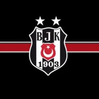 YTÜ Beşiktaş grup logosu